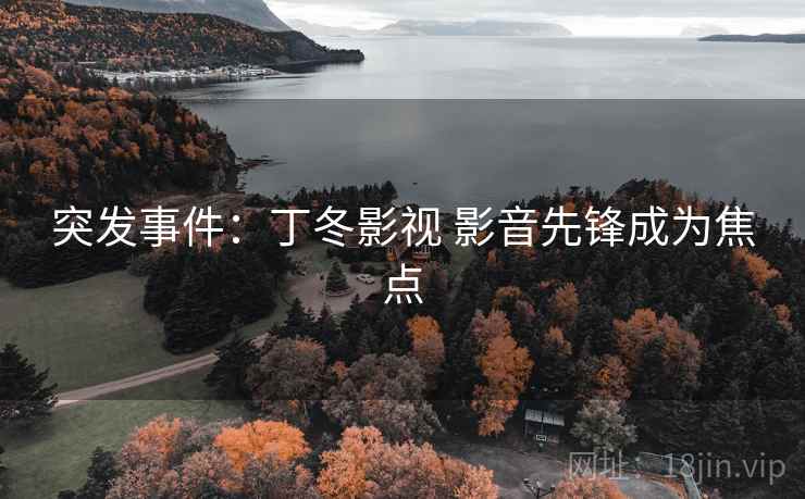 突发事件：丁冬影视 影音先锋成为焦点